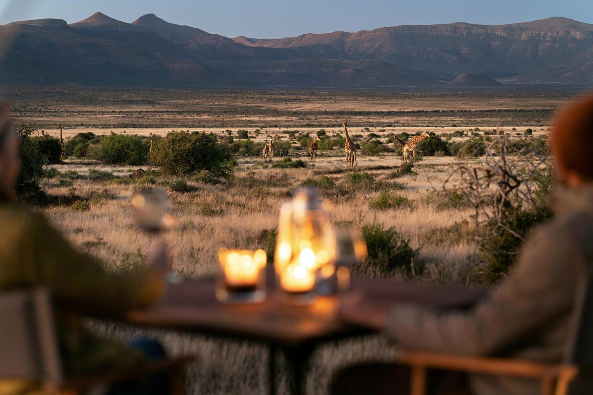 Samara Karoo Reserve Graaff-Reinet Extérieur photo