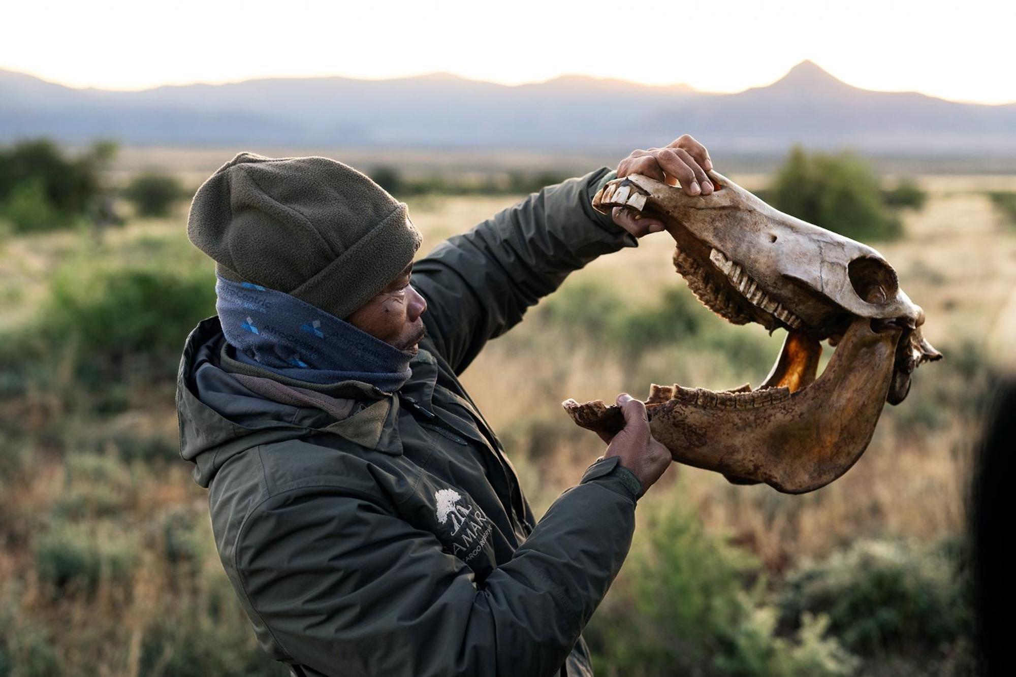 Samara Karoo Reserve Graaff-Reinet Extérieur photo