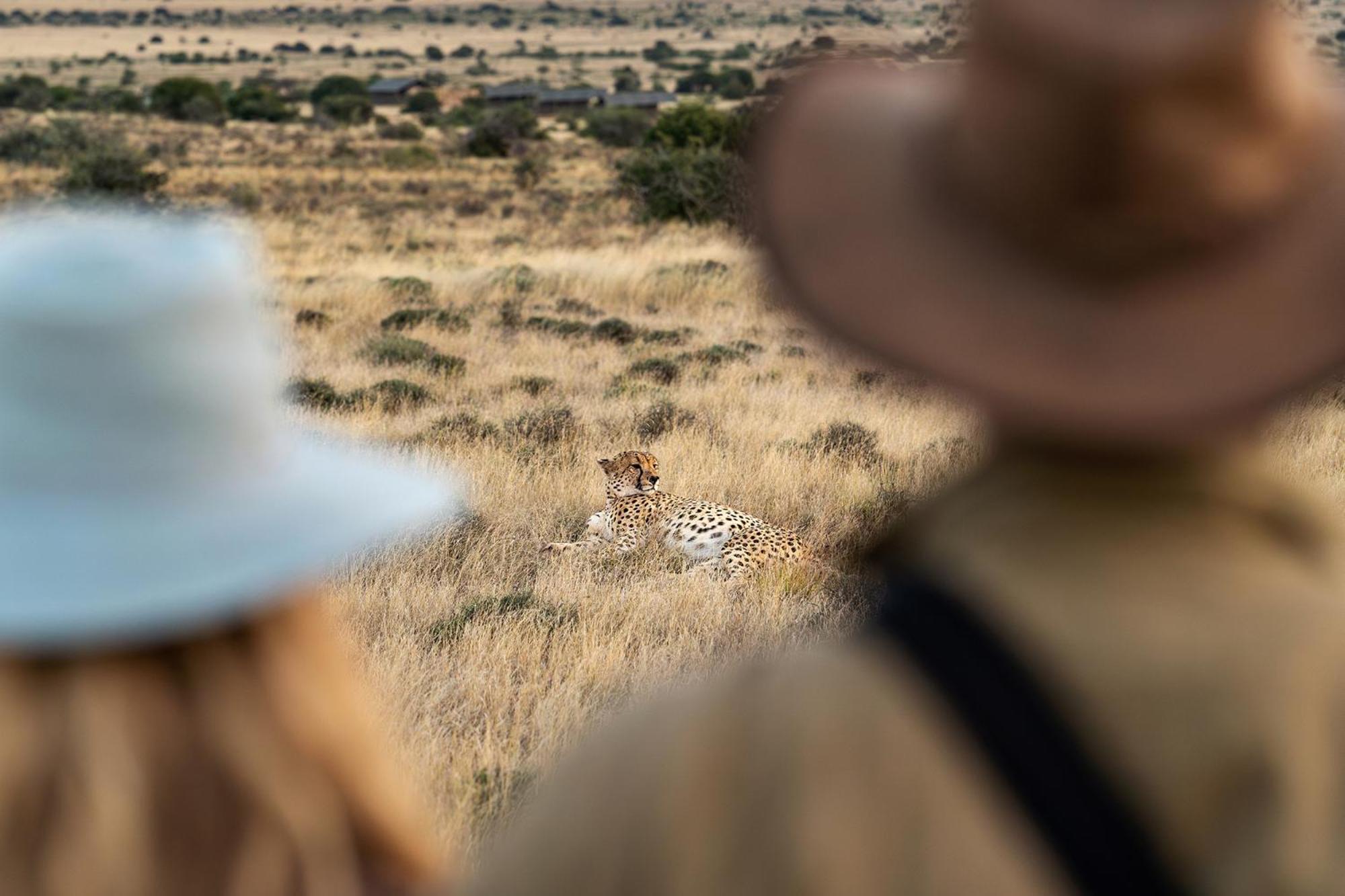 Samara Karoo Reserve Graaff-Reinet Extérieur photo