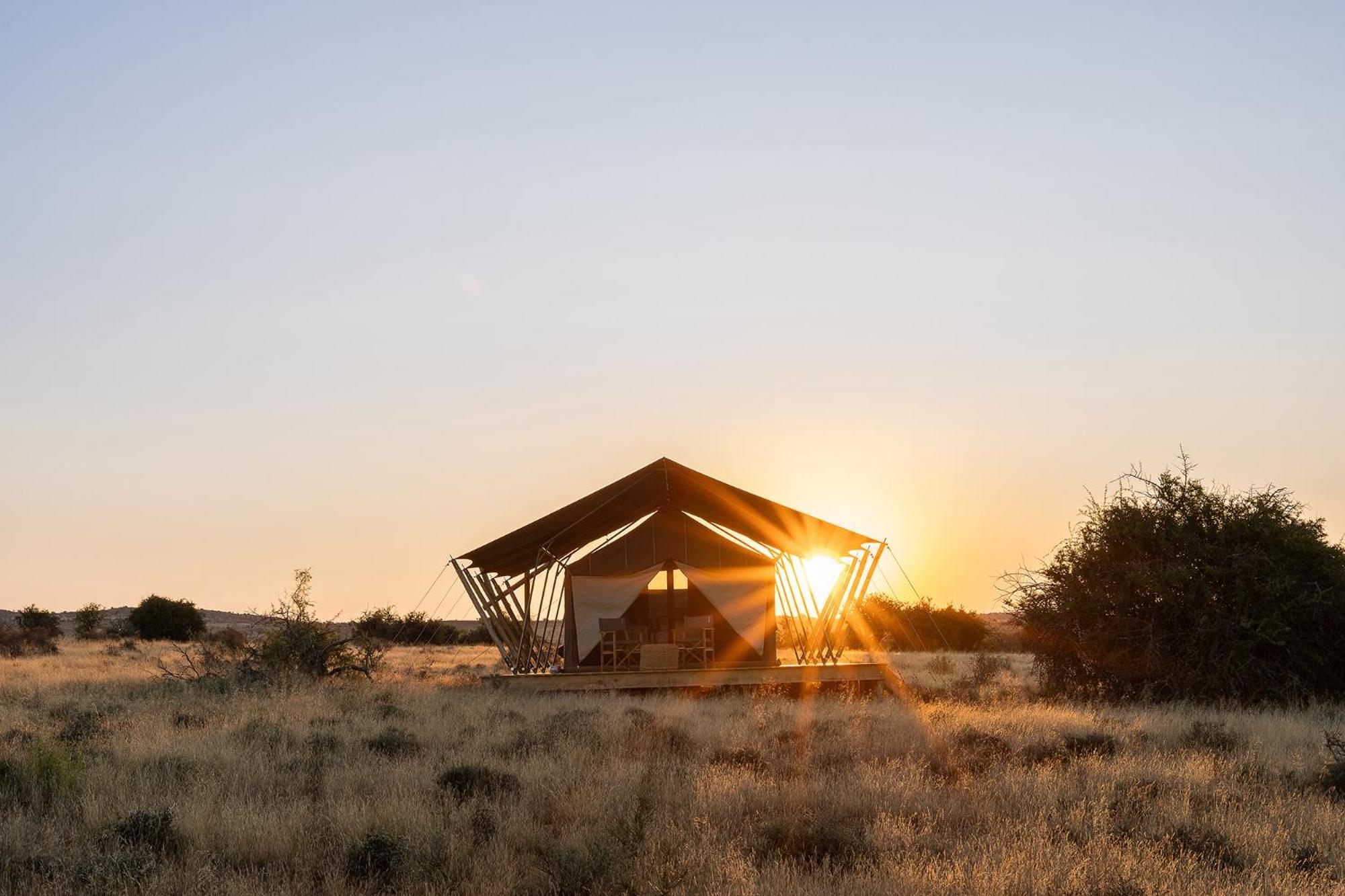 Samara Karoo Reserve Graaff-Reinet Extérieur photo