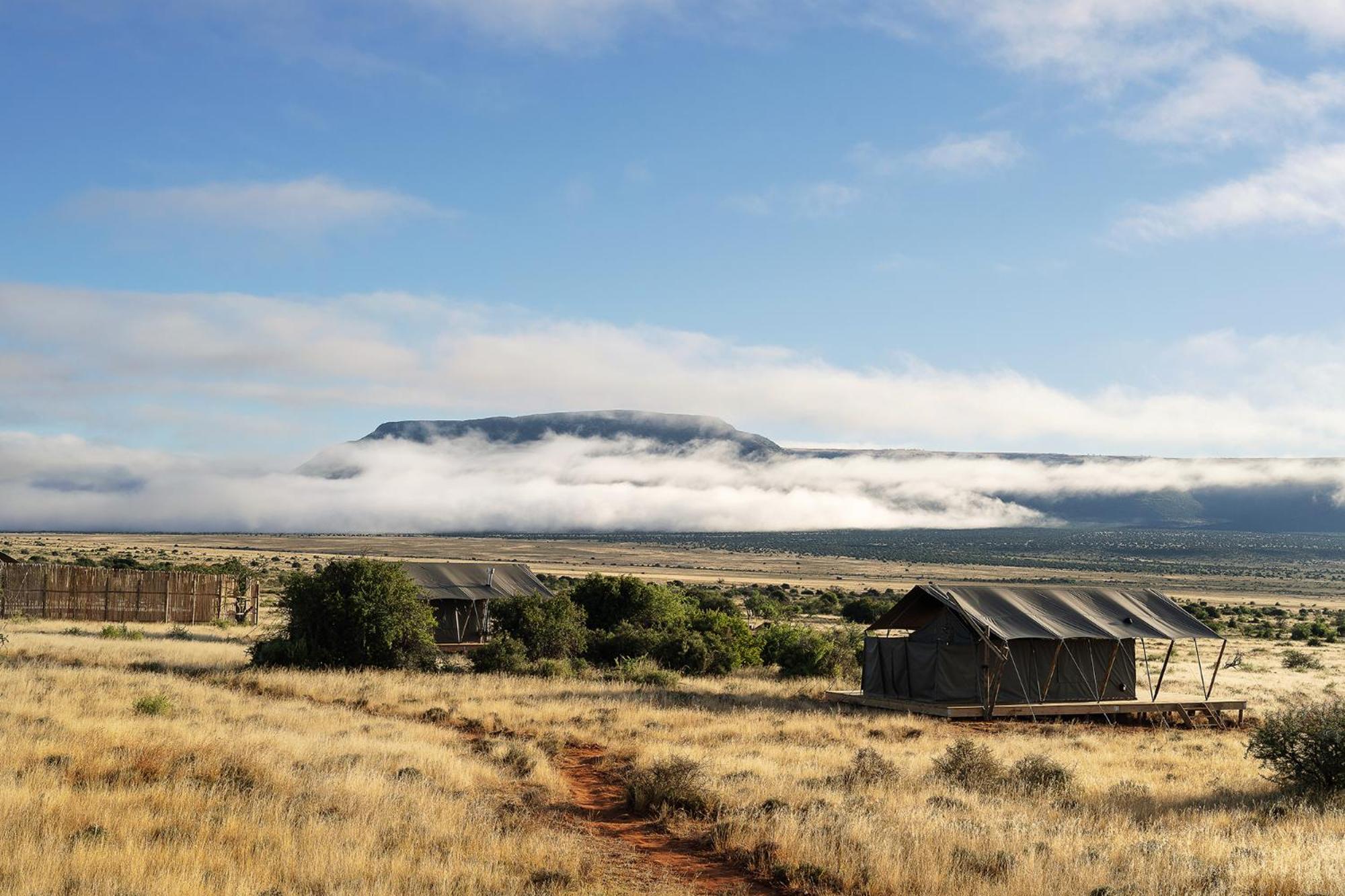 Samara Karoo Reserve Graaff-Reinet Extérieur photo